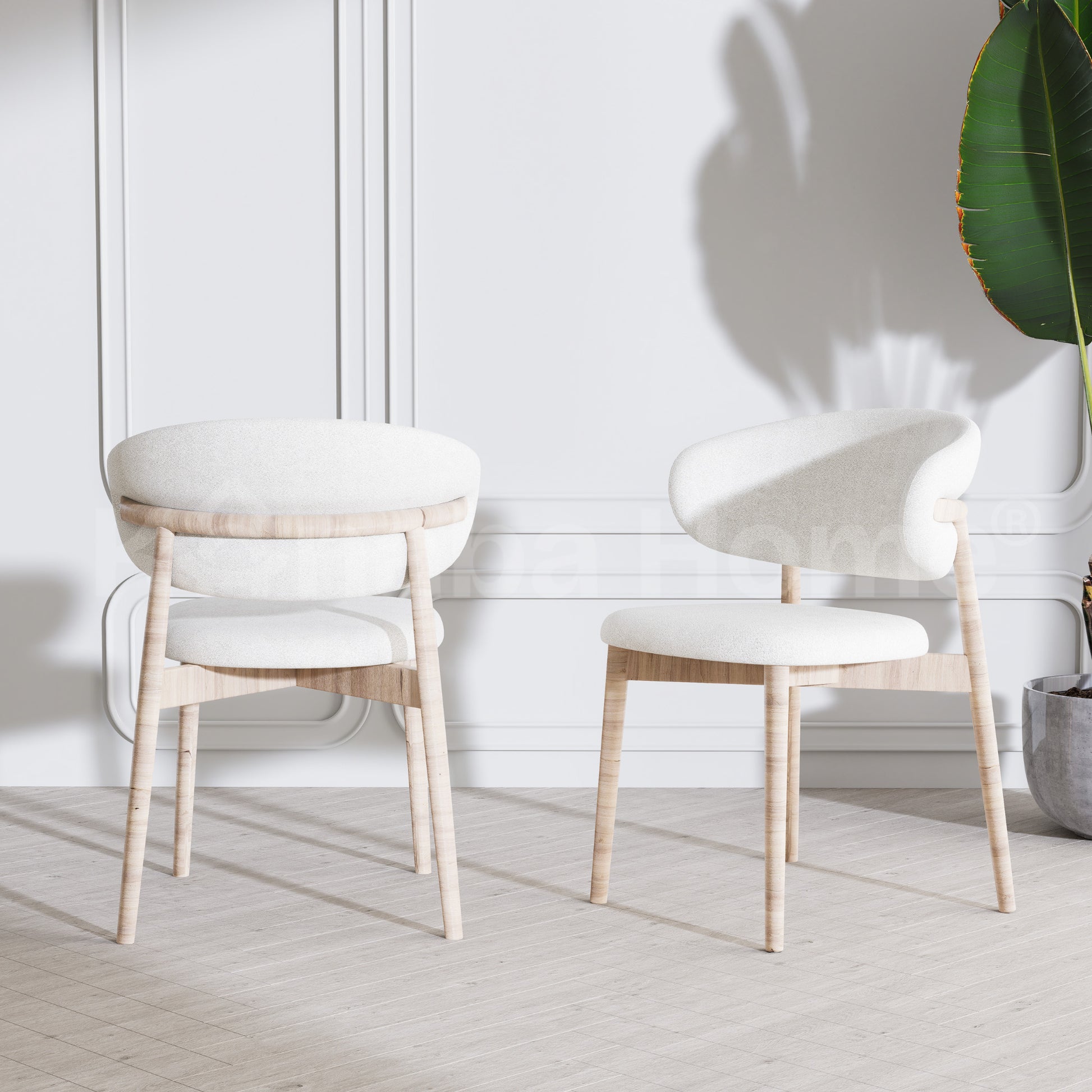 Edith Dining Chair