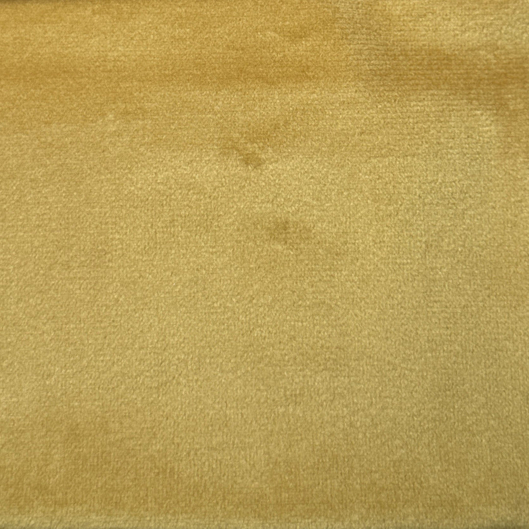 AN | Velvet | 1008-41