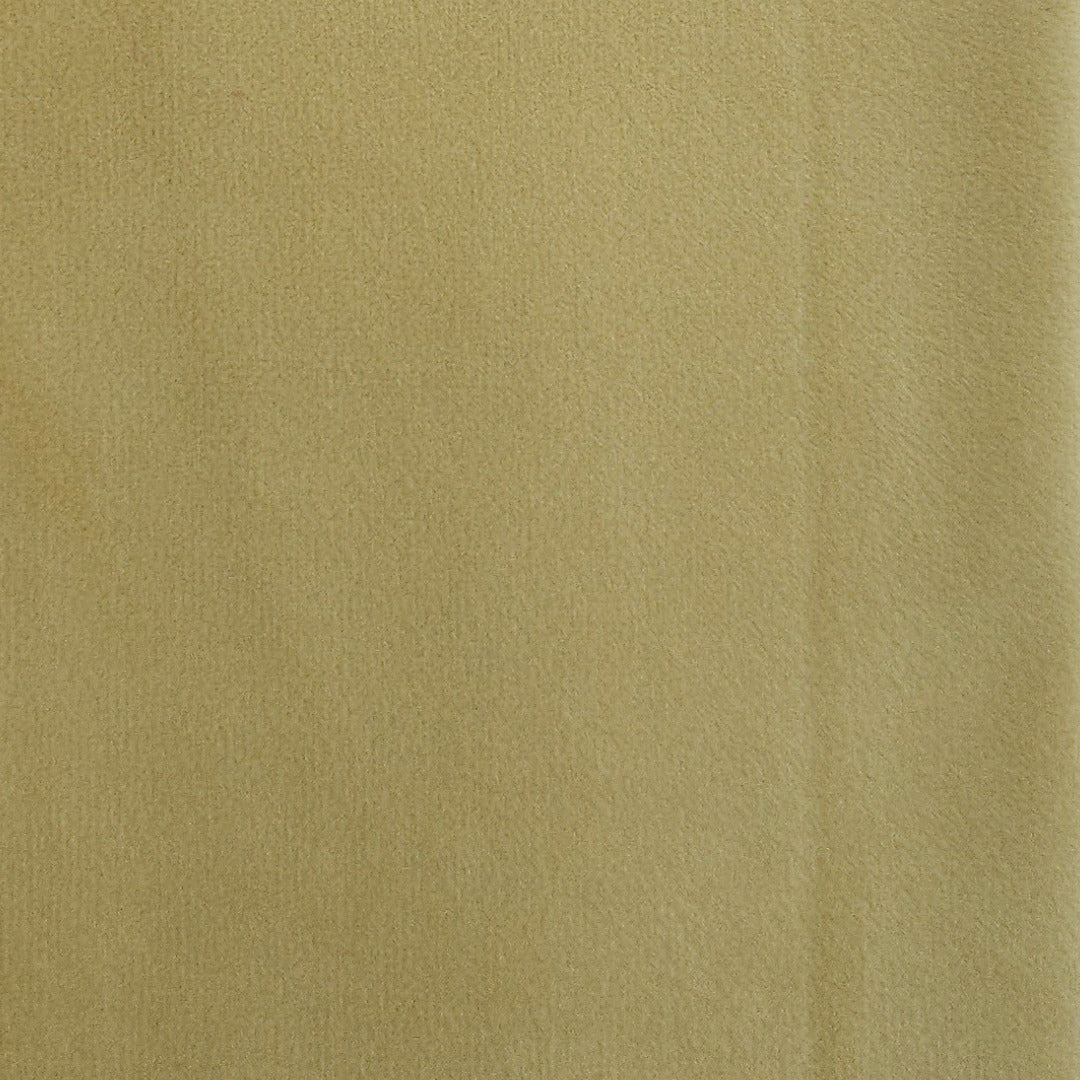 AN | Velvet | 6000-31