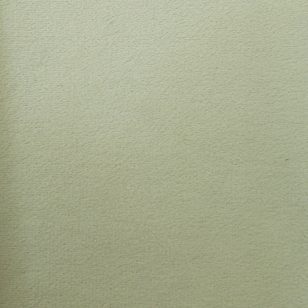 AN | Velvet | 8020-02