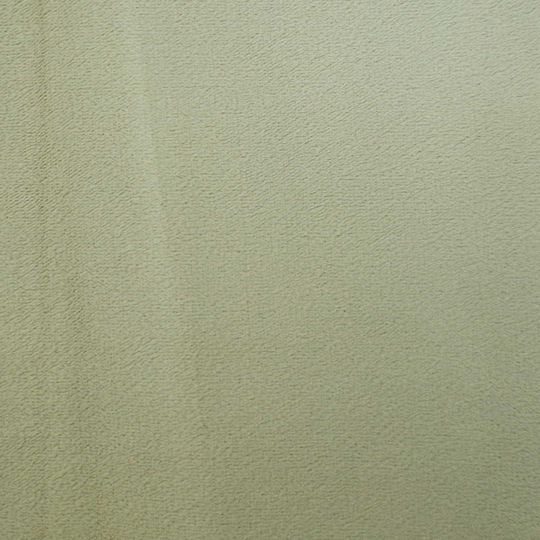 AN | Velvet | 8020-10