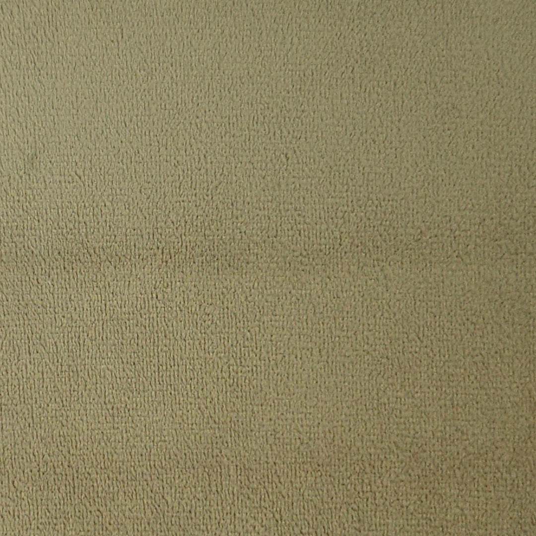 AN | Velvet | 8020-21