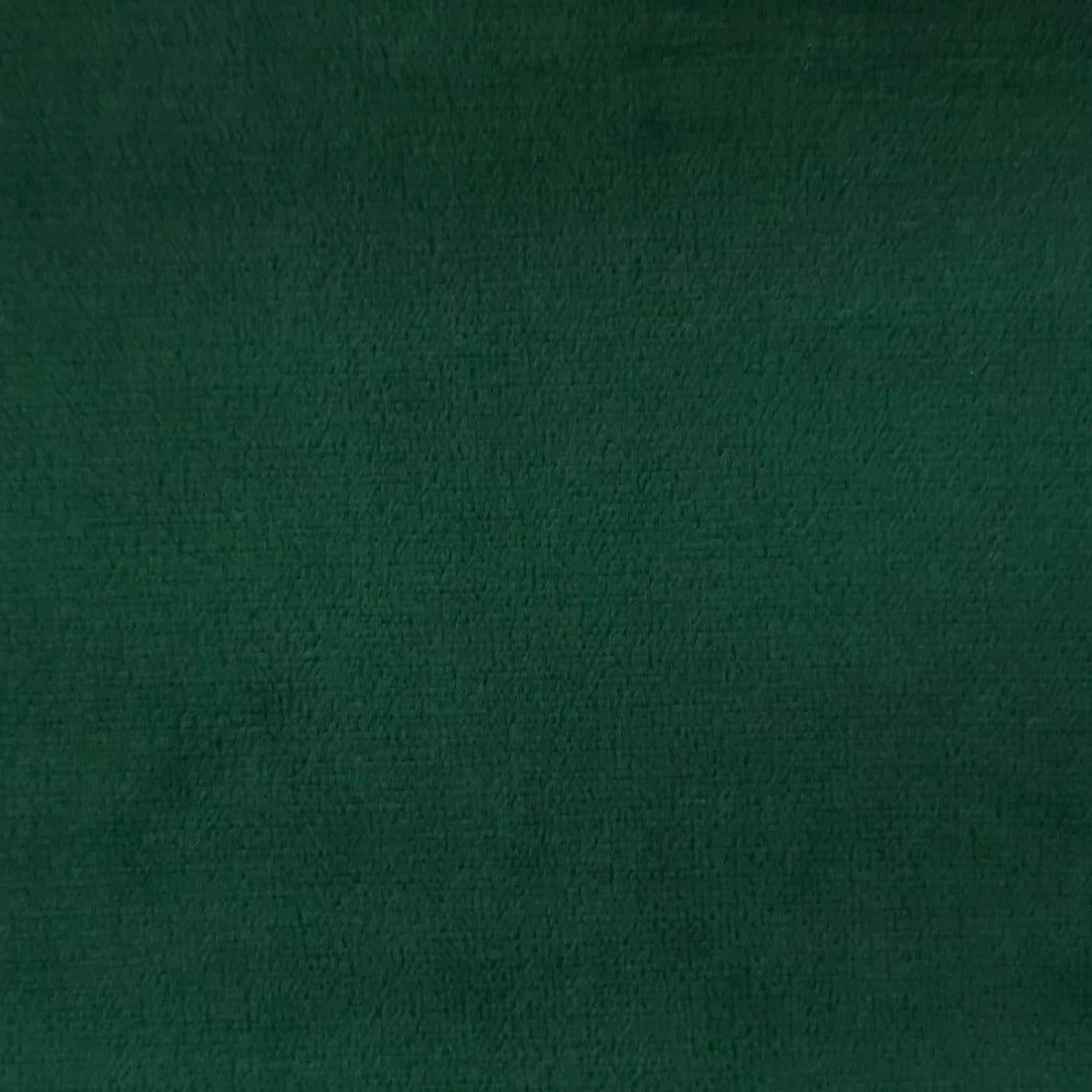 AN | Velvet | 8020-43