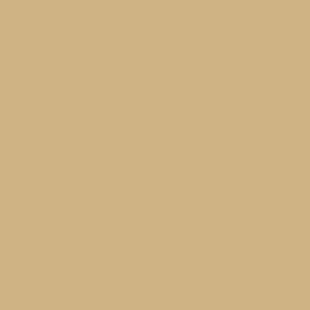 RAL | 1001 Beige 