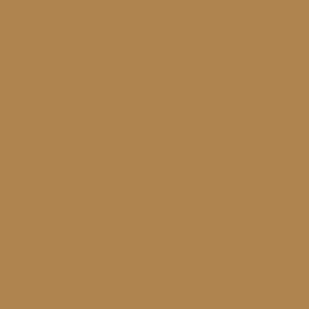 RAL | 1011 Brown Beige