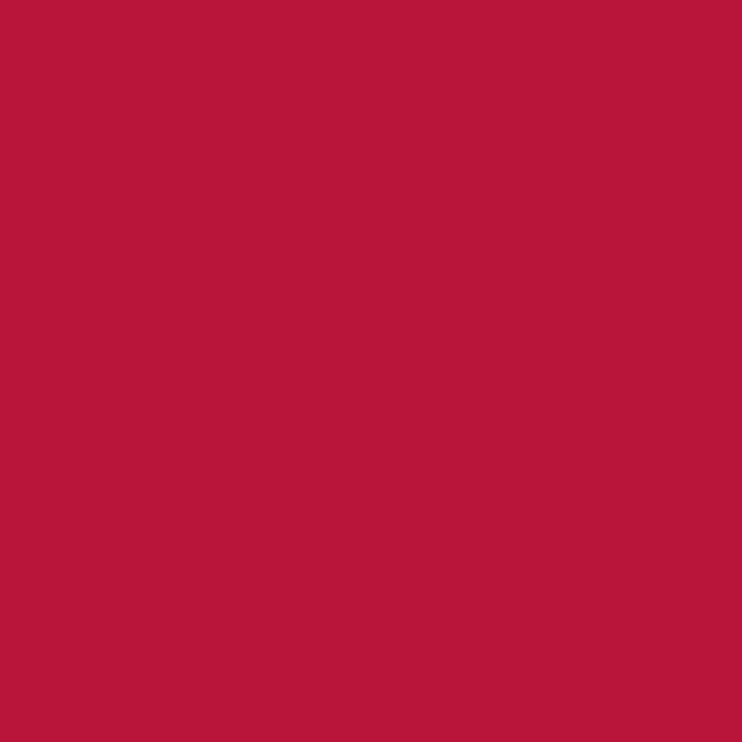 RAL | 3027 Raspberry Red