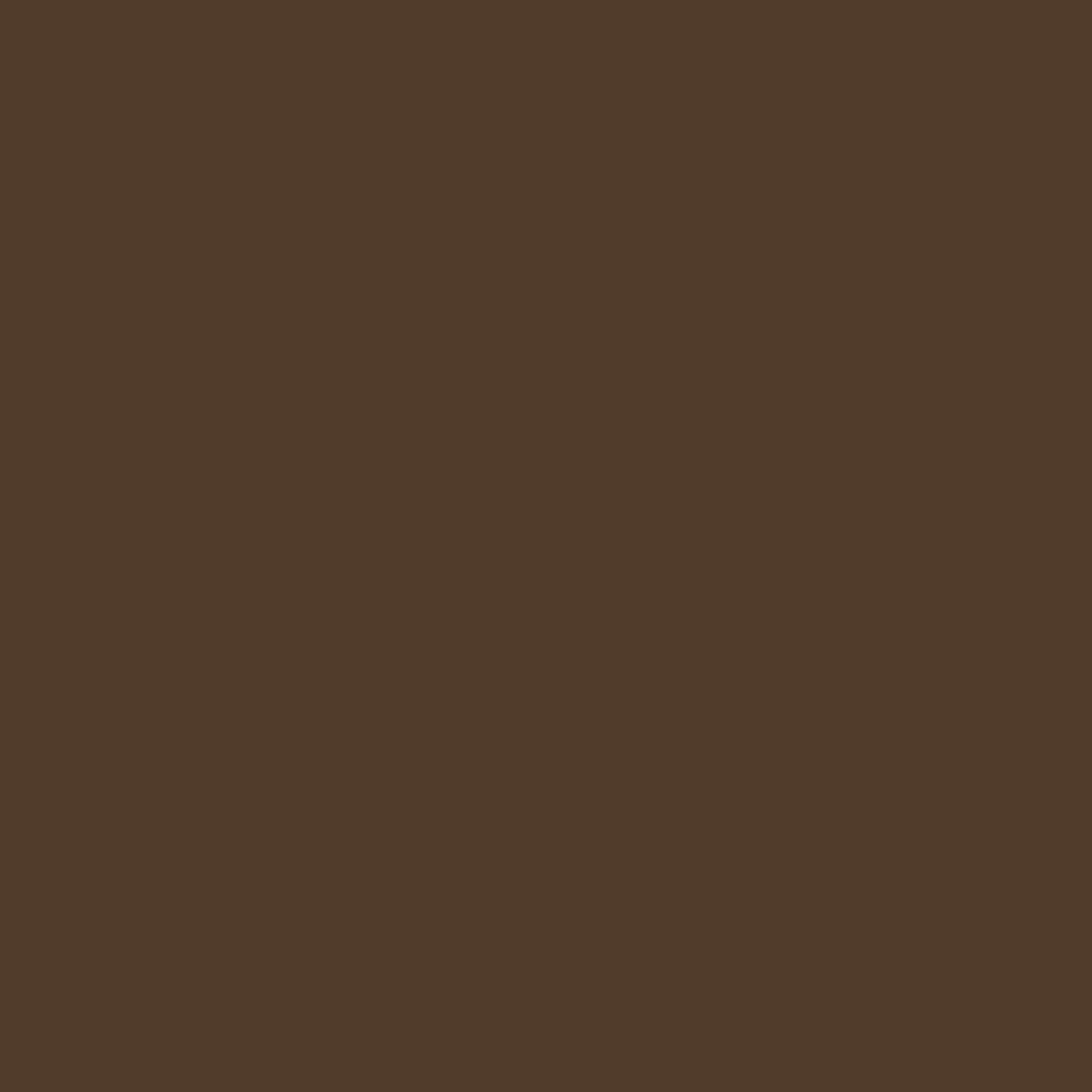RAL | 8028 Terra Brown