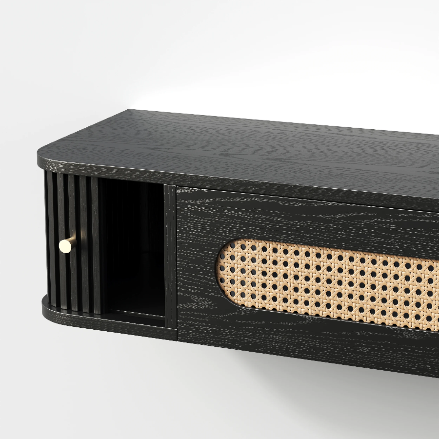 Rino Wall Mounted TV Stand